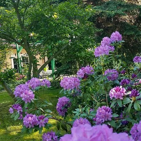 W Starym Ogrodzie Casa vacanze *