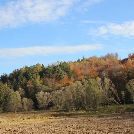 W Starym Ogrodzie Wolimierz