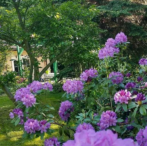 W Starym Ogrodzie Holiday home *