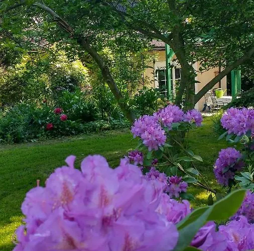 Holiday home W Starym Ogrodzie *