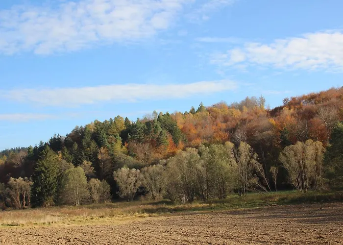 W Starym Ogrodzie Wolimierz