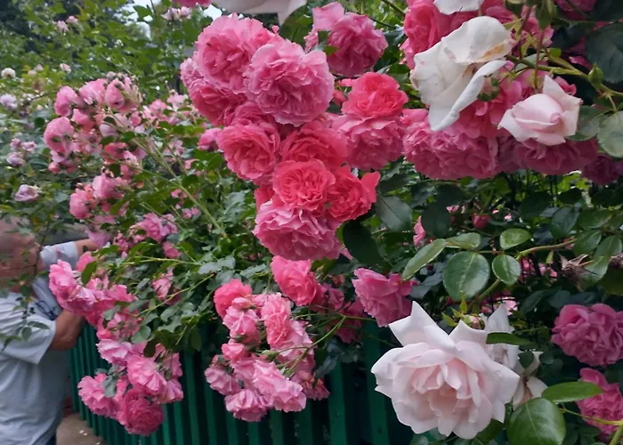 Holiday home W Starym Ogrodzie